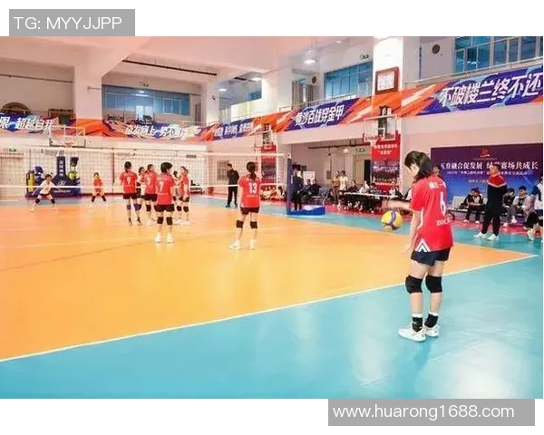 西安排球队的拼搏历程与荣耀瞬间全景纪实