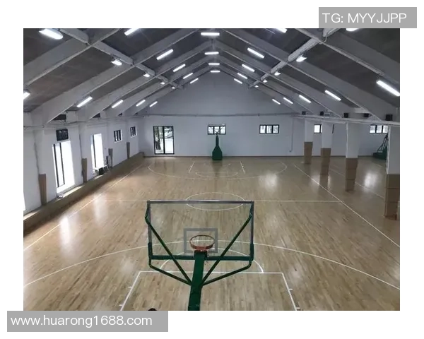 广州篮球队技术揭秘：从战术到训练的全方位分析与探讨