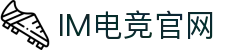 IM(股份有限公司)电竞-电子竞技平台